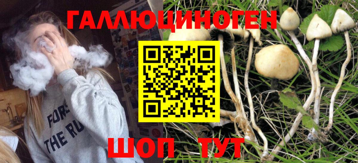 Галлюциногенные грибы Magic Shrooms Кубинка